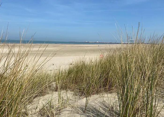 Residentie Nivaria Zeebrugge, Appartement Met 1 Slaapkamer Aan De Jachthaven